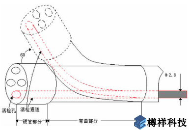 內(nèi)窺鏡管端部結(jié)構(gòu)示意圖